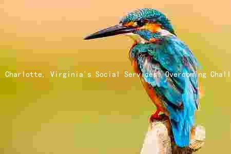 Charlotte, Virginia's Social Services: Overcoming Challenges and Improving Access for a Better Community