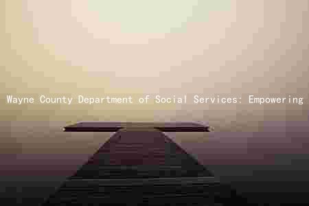 Wayne County Department of Social Services: Empowering Vulnerable Populations through Innovative Program and Partnerships