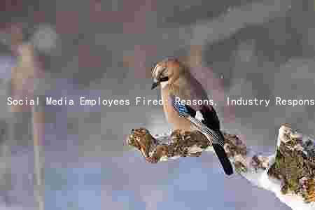 Social Media Employees Fired: Reasons, Industry Response, and Future Implications