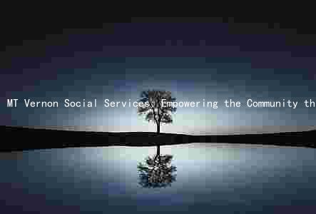 MT Vernon Social Services: Empowering the Community through Innovative Programs and Collaborative Efforts
