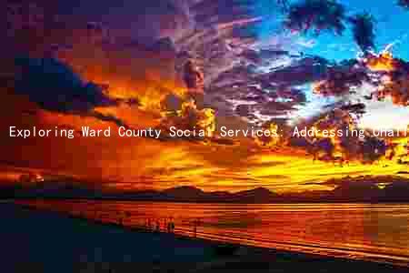 Exploring Ward County Social Services: Addressing Challenges and Celebrating Successes