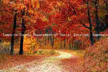 Tompkins County Department of Social Services: Empowering Communities through Comprehensive Services and Collaboration
