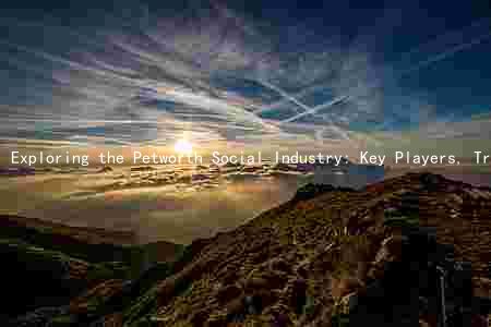 Exploring the Petworth Social Industry: Key Players, Trends, Challenges, and Opportunities