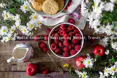 Social Media Industry: Navigating Market Trends, Consumer Preferences, Risks, and Innovations