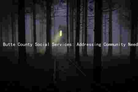 Butte County Social Services: Addressing Community Needs with Limited Funding and Staffing