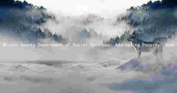 Wilson County Department of Social Services: Addressing Poverty, Homelessness, and Supporting Families and Children through Collaboration and Innovative Programs