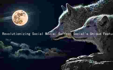 Revolutionizing Social Media: Saffron Social's Unique Features, Target Audience, and Monetization Strategies