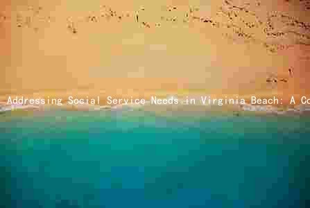 Addressing Social Service Needs in Virginia Beach: A Collaborative Effort