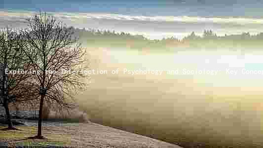 Exploring the Intersection of Psychology and Sociology: Key Concepts, Theories, and Controversies