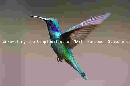 Unraveling the Complexities of NASI: Purpose, Stakeholders, Challenges, and Future Prospects