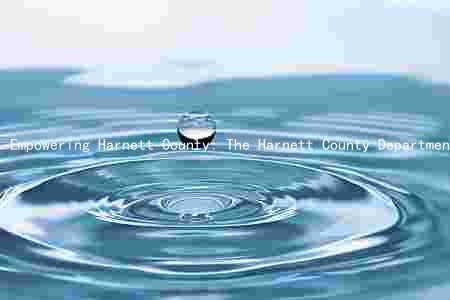 Empowering Harnett County: The Harnett County Department of Social Services' Mission, Programs, Collaborations, Challenges, and Goals