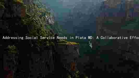 Addressing Social Service Needs in Plata MD: A Collaborative Effort