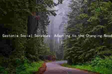 Gastonia Social Services: Adapting to the Changing Needs of the Community and Expanding Its Services
